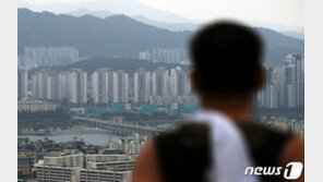 집값지표 ‘가짜’ 실거래가 작년만 1만3903건…수도권 65% ‘집중’