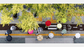 오늘 전국 비, 기온 뚝… 긴팔 옷 준비하세요 