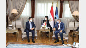 박병석, 이집트 엘시시 대통령 만나…원전·北평화협상 복귀 등 지원 당부