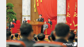 전세계 40개 NGO “北주민, 김씨 일가 잔혹통치에 고통”…유엔국에 서한