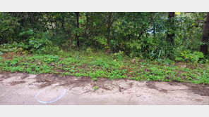 “외제차 사려고”…5개월 간 ‘작업녀’라 부르며 살인 공모한 친구들