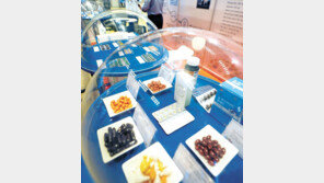 제약의 모든것… ‘세계 제약산업 전시회’