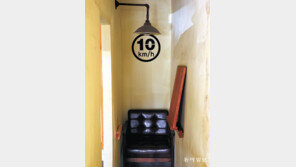 [고양이 눈]감속의 치유 효과