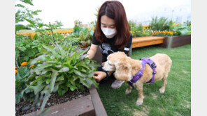 베란다 텃밭 가꾸고 희귀종 ‘식물 재테크’…‘아파트 농부’ 뜬다