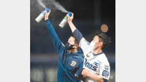 한여름엔 안 보이더니… 모기, 가을비-늦더위에 때아닌 극성