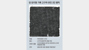 “평양성 빗장 열어 당나라에 협력”… 고구려 비운의 역사 생생