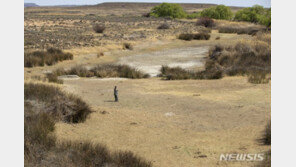 전세계 인구 85% 이상 기후변화 영향받아
