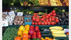 프랑스, 내년 1월부터 30여종 과일·채소 플라스틱 포장 금지