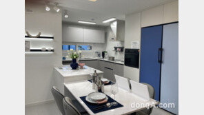 ‘더샵 도안트위넌스’ 견본주택 ‘기본형’도 구형