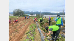 농협중앙회 정보보호부, 이천농협 임직원과 함께 일손돕기 실시