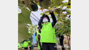 농협중앙회·한국종합농업단체협의회 임직원, 가을 영농철 농촌일손돕기 실시