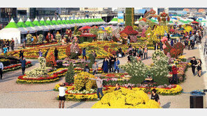 창원시 국화축제, 27일부터 대면-비대면 진행