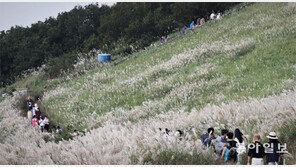 제주 관광객 ‘환경보전기여금’ 도입 놓고 정치권 공방 점화