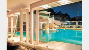 “수영장에 누워 남산 단풍 만끽하며 한우짬뽕을” 