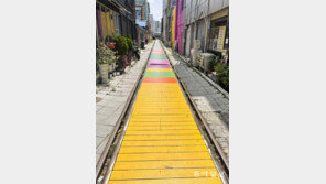 [고양이 눈]무지개 길