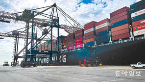 공급망 막히고 원자재값 뛰고… 발목잡힌 세계 경제