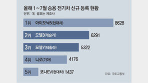 [단독]테슬라만 왜… ‘車점검 필수정보’ 미제출, 국내서 6년째 정밀검사 못해 안전 위협 