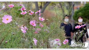 [오늘 날씨] 아침 ‘쌀쌀’·낮엔 ‘선선’ 일교차 10도…일부지역 비