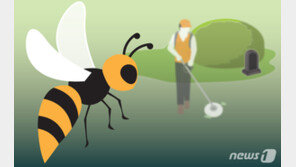 군위서 초등생 32명·교사 7명 벌에 쏘여…“벌집 건드린 듯”