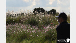 [날씨] 전국 구름 많고 흐려…제주 ‘최대 10㎜’ 비