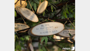 유은혜, ‘학교폭력 피해학생 보호체계 개선’ 현장 관계자 간담회