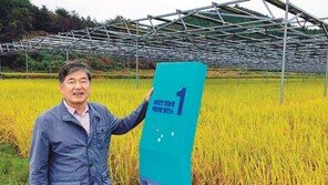 ‘벼 농지’ 위에 ‘전기 농지‘ 얹으니 농가소득 ‘쑥쑥‘