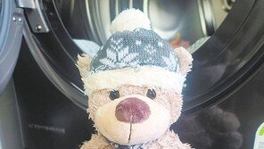 [고양이 눈]때 뺀 ‘곰’