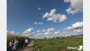 주말 서울 1도·파주 -2도 ‘첫 한파주의보’…강풍 불고 내륙 얼음·서리