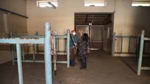 [청계천 옆 사진관] 시간이 멈춘 ‘서울승마훈련원’ 임시개방