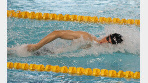 황선우, 전국체육대회서 생애 첫 5관왕…첫 MVP도 수상