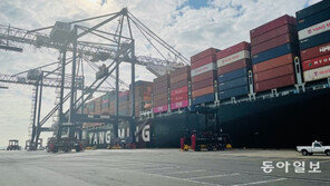 물건 나를 배가 없다…감자튀김 품귀에 부품은 분해해 수출