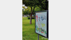 [고양이 눈]“술길 싫어요. 숲길 좋아요.”