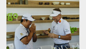 맛보라니까 한국 만두에 푹 빠진 골퍼들
