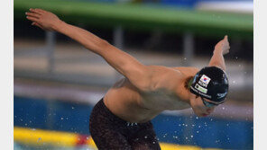 수영 5관왕 황선우, 전국체육대회 MVP도 차지