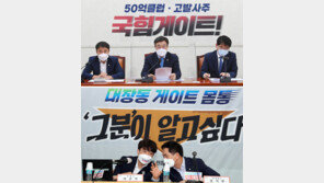 野 “‘그분’이 정치인 아닌것 단언할수 있나” 중앙지검장 “단언 못해” 