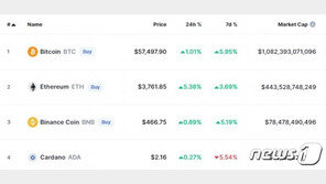 비트코인·이더리움 번갈아 상승…전형적인 강세장 연출