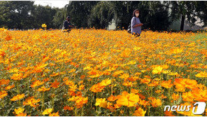 이번 주말 서울 ‘64년 만에’ 최저 기온…첫 10월 중순 ‘한파주의보’
