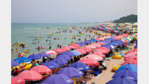 전국 관광지 10곳 중 7곳 노후화 우려…재생정책 마련해야