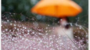 [날씨] 수도권 ‘약한 비’…“우산 준비하세요”