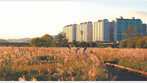 태화강 물억새 생태 관찰장, 내달 15일까지 운영