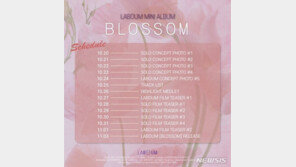 ‘4인 체제’ 라붐, 앨범 ‘블러썸’으로 11월 3일 컴백