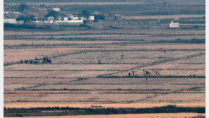 美 인도태평양사령부 “北 탄도미사일, 즉각적 위협 아냐”