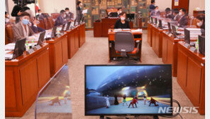 관광공사 ‘범 내려온다’ 영상 홍보비 101억…제작비 5배