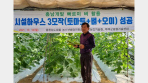 70일이면 수확… 충남 ‘빠르미’, 벼 3모작 시대 열었다