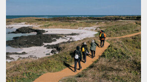 놀멍 쉬멍 걸으멍 올레 한바퀴… ‘걷기 천국’ 제주가 살아난다