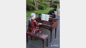 [고양이 눈]모차르트의 음악이 들리나요