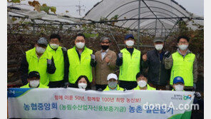 [포토]농신보, 포도 재배농가 찾아 농촌일손돕기 실시