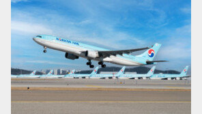 대한항공, 내달 인천~호놀룰루 노선 운항 재개…19개월 만