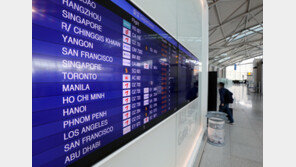 대한항공 하와이, 아시아나 괌 노선 띄운다…국제선 하늘길 ‘활짝’