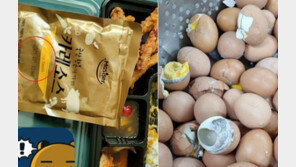 유통기한 석달 지난 카레·회색 달걀…軍 또 불량급식